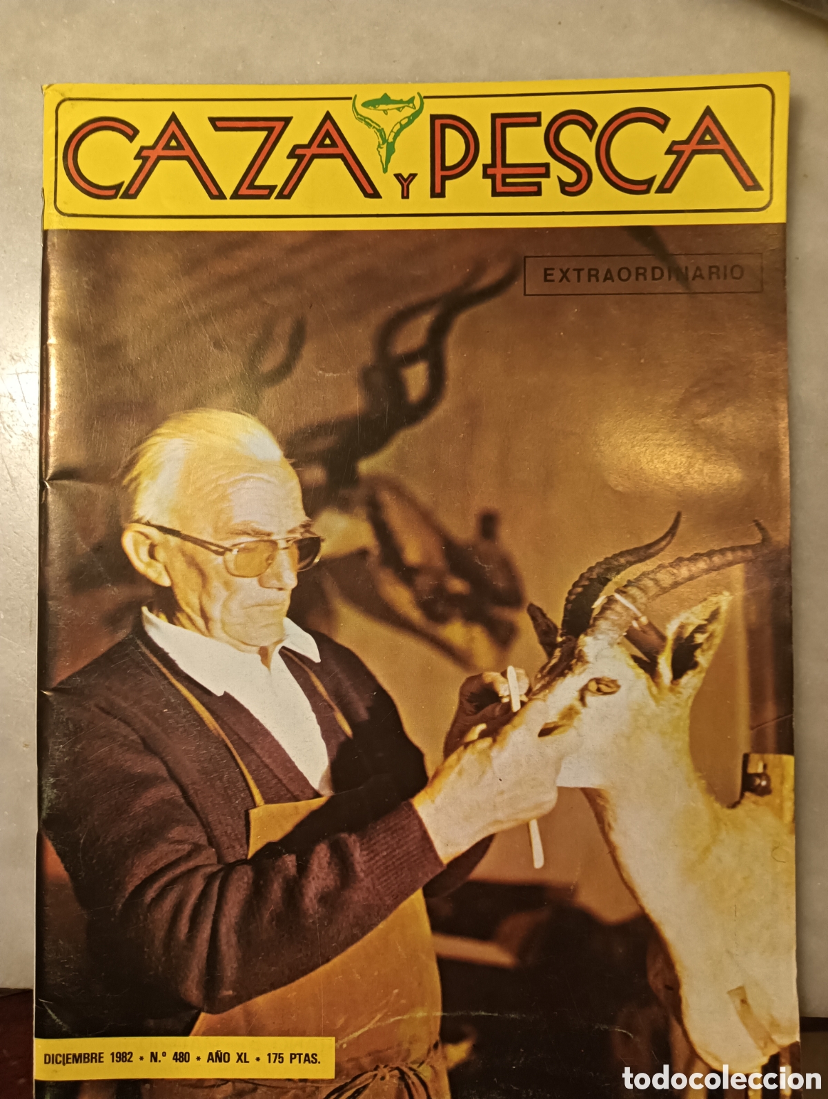 Coleccionismo de Revistas y Peri&oacute;dicos: Revista caza y pesca diciembre de 1982 n&uacute;mero 480