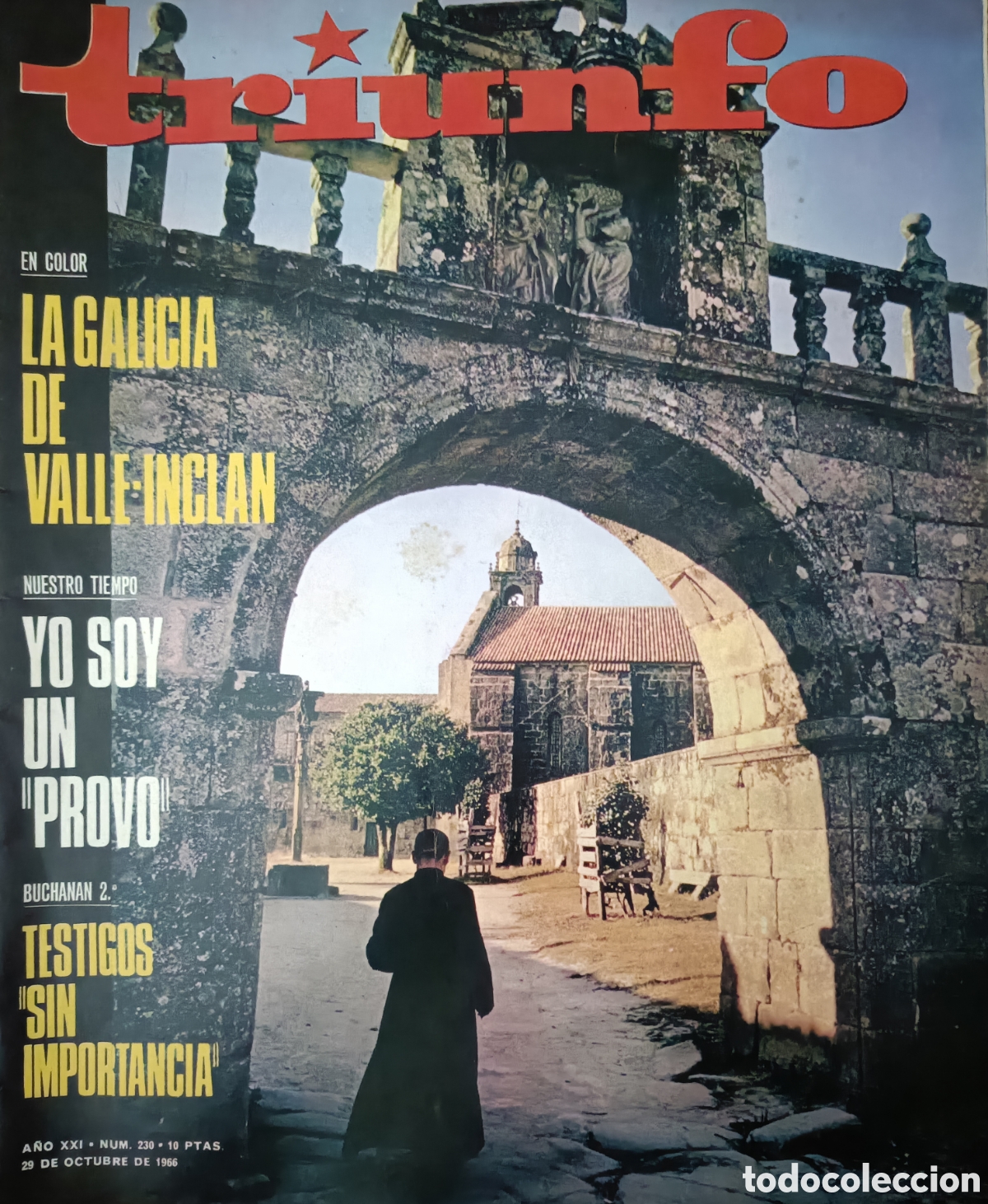 Coleccionismo de Revistas y Peri&oacute;dicos: Revista. Triunfo. Octubre 66.