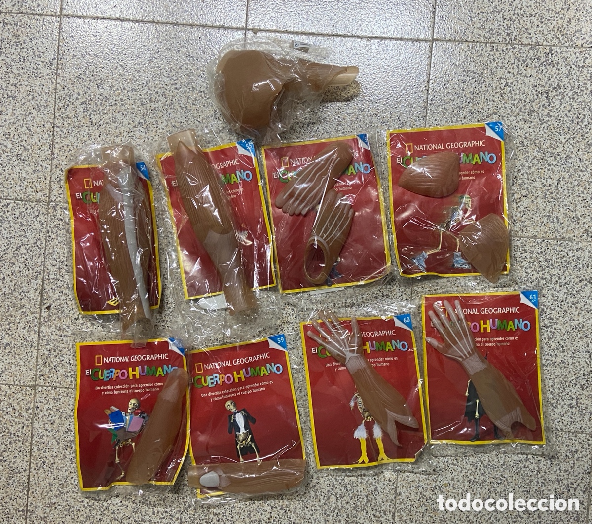 Collezionismo di Riviste e Giornali: Lote El Cuerpo Humano National Geographic de Revista National Geographic