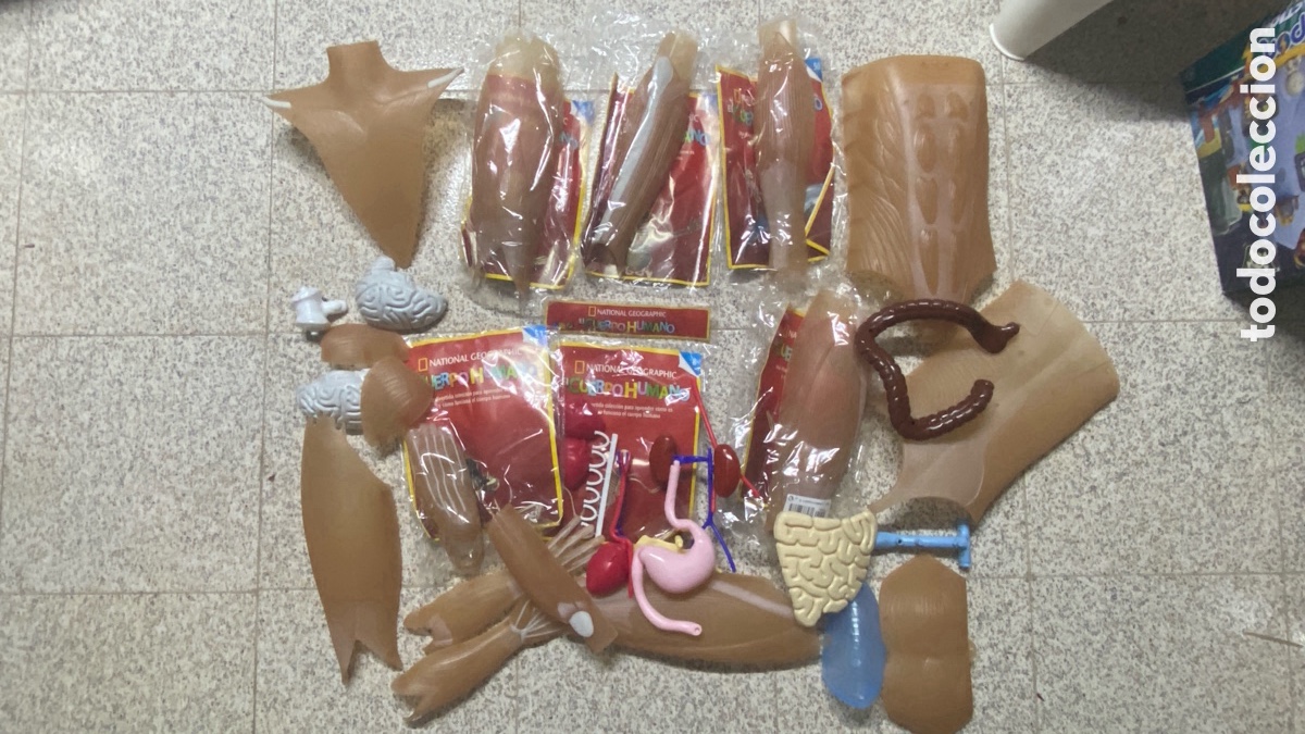 Coleccionismo de Revistas y Peri&oacute;dicos: Lote El Cuerpo Humano National Geographic de Revista National Geographic