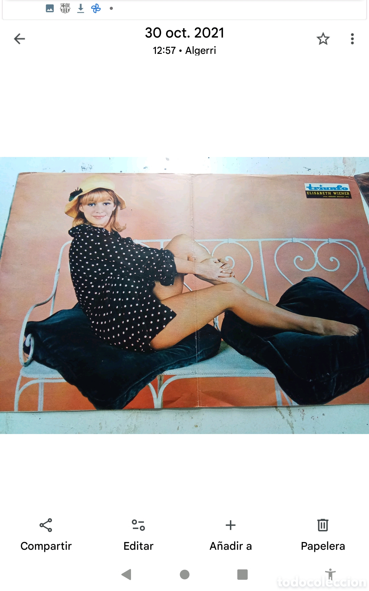 Coleccionismo de revistas y peri&oacute;dicos: . .-ELISABETH WIENER . P&Oacute;STER REVISTA TRIUNFO . DOBLE P&Aacute;GINA (33X52). A&Ntilde;OS 60