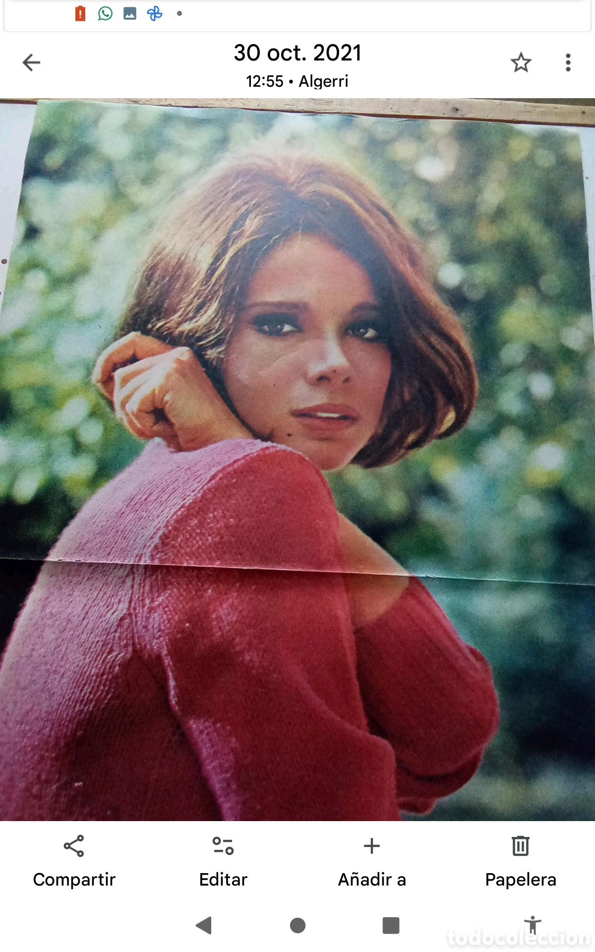 Coleccionismo de revistas y peri&oacute;dicos: . .-GAIA GERMANI . P&Oacute;STER REVISTA TRIUNFO . DOBLE P&Aacute;GINA (33X52). A&Ntilde;OS 60
