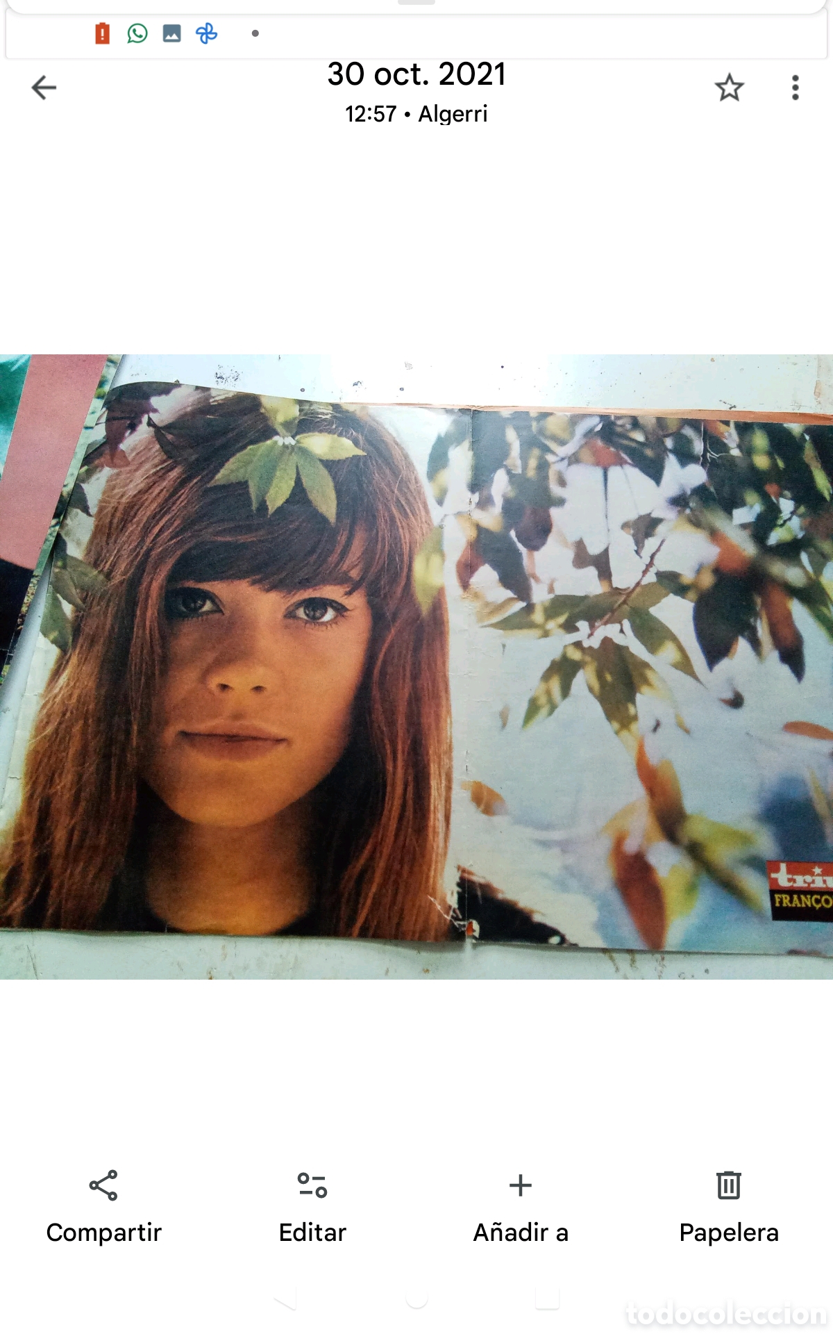 Coleccionismo de revistas y peri&oacute;dicos: . FRAN&Ccedil;OISE HARDY.- P&Oacute;STER REVISTA TRIUNFO . DOBLE P&Aacute;GINA (33X52). A&Ntilde;OS 60