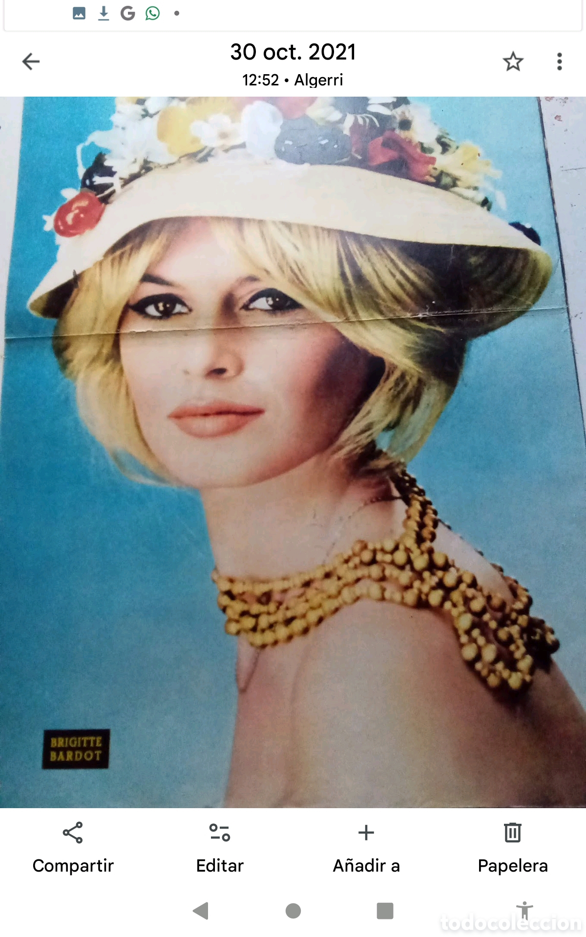 Coleccionismo de Revistas y Peri&oacute;dicos: . .B. B.- P&Oacute;STER REVISTA TRIUNFO . DOBLE P&Aacute;GINA (33X52). A&Ntilde;OS 60