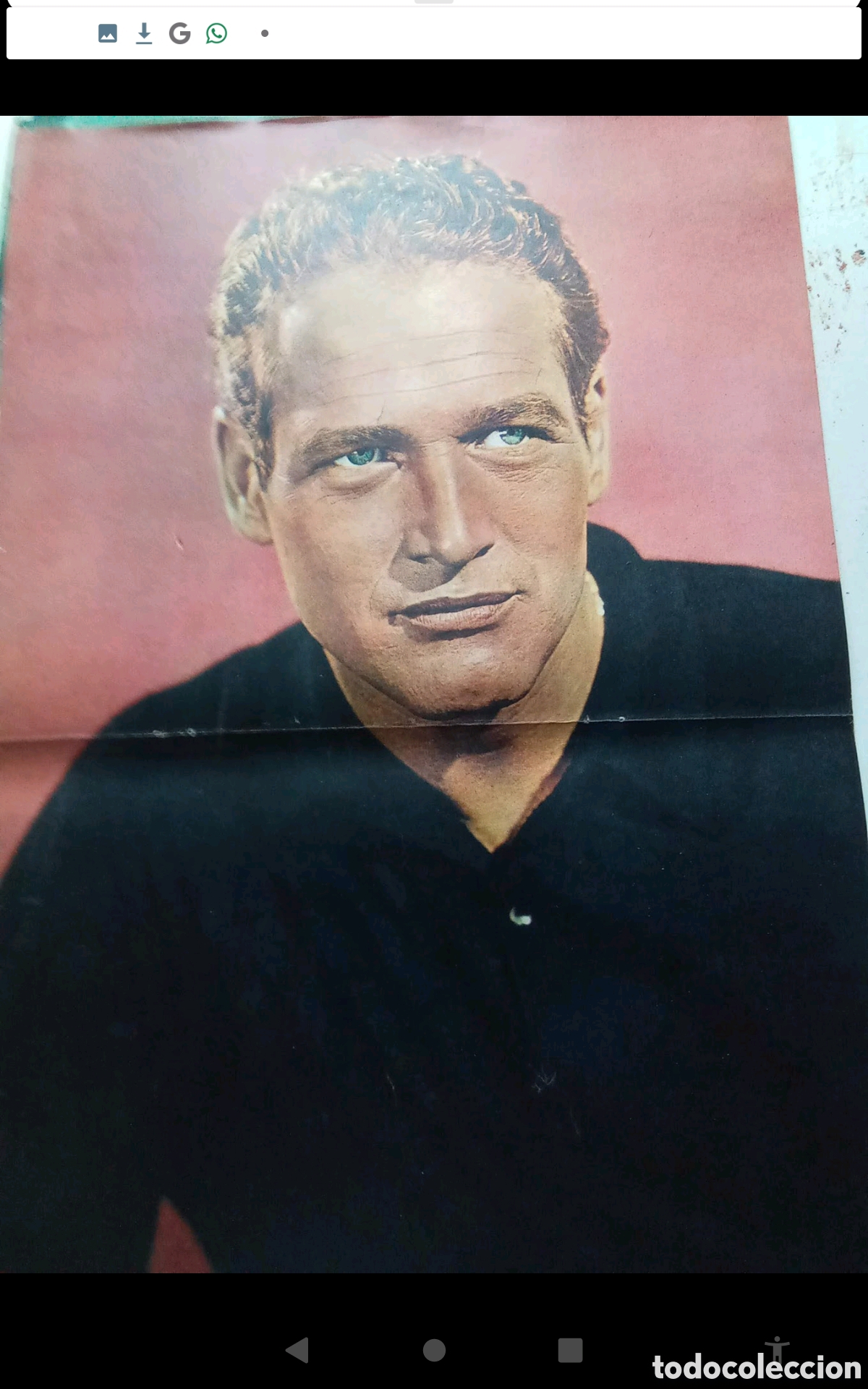 Coleccionismo de Revistas y Peri&oacute;dicos: PAUL NEWMAN. .- P&Oacute;STER REVISTA TRIUNFO . DOBLE P&Aacute;GINA (33X52). A&Ntilde;OS 60