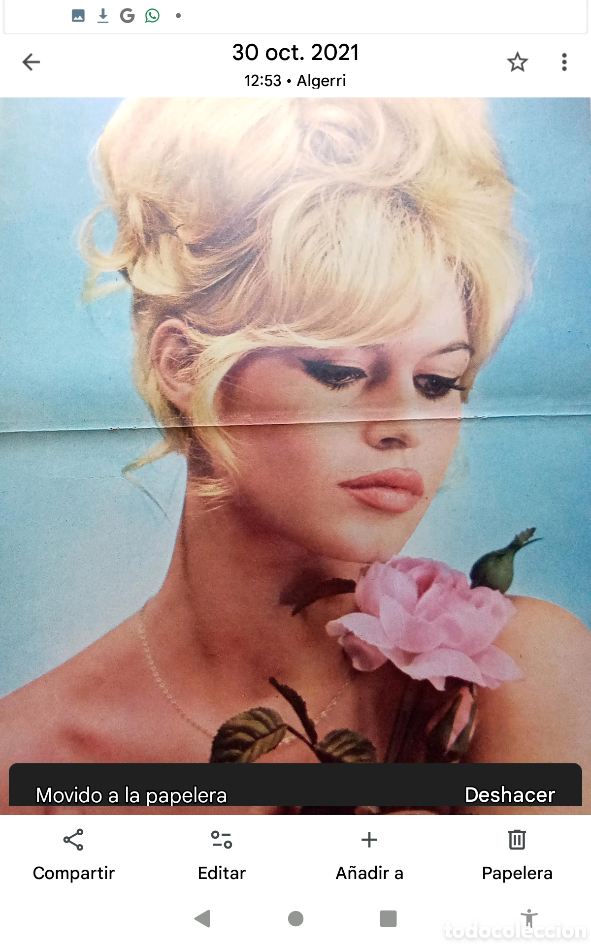 Collectionnisme de Revues et Journaux: . .- B.B.P&Oacute;STER REVISTA TRIUNFO . DOBLE P&Aacute;GINA (33X52). A&Ntilde;OS 60