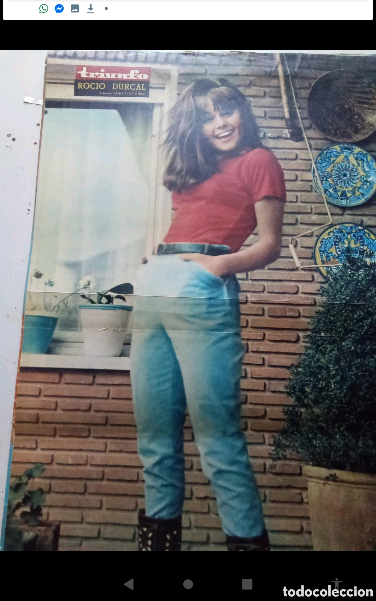 Collectionnisme de Revues et Journaux: ROC&Iacute;O D&Uacute;RCAL . .- P&Oacute;STER REVISTA TRIUNFO . DOBLE P&Aacute;GINA (33X52). A&Ntilde;OS 60