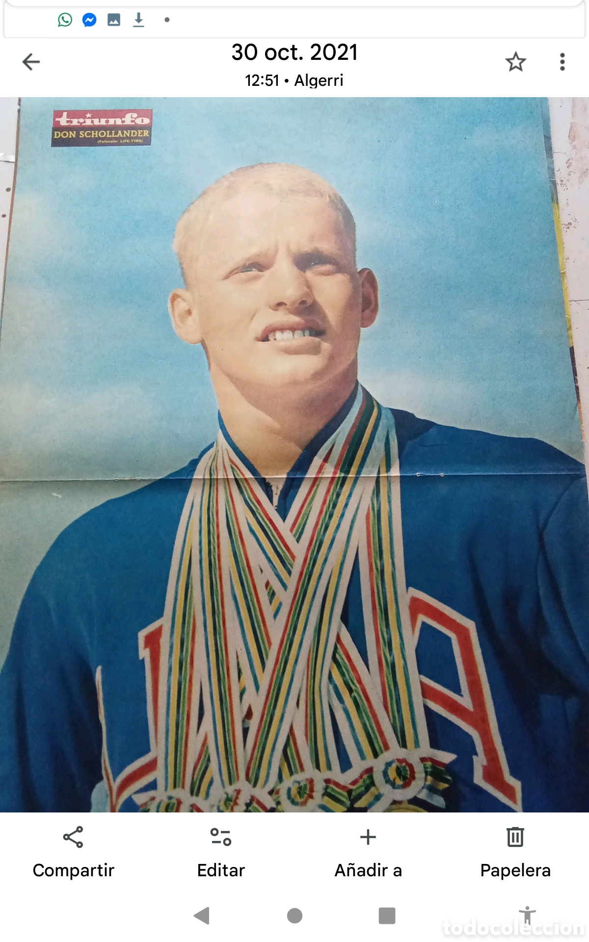 Collectionnisme de Revues et Journaux: DaON SCHOLLANDER. .- P&Oacute;STER REVISTA TRIUNFO . DOBLE P&Aacute;GINA (33X52). A&Ntilde;OS 60