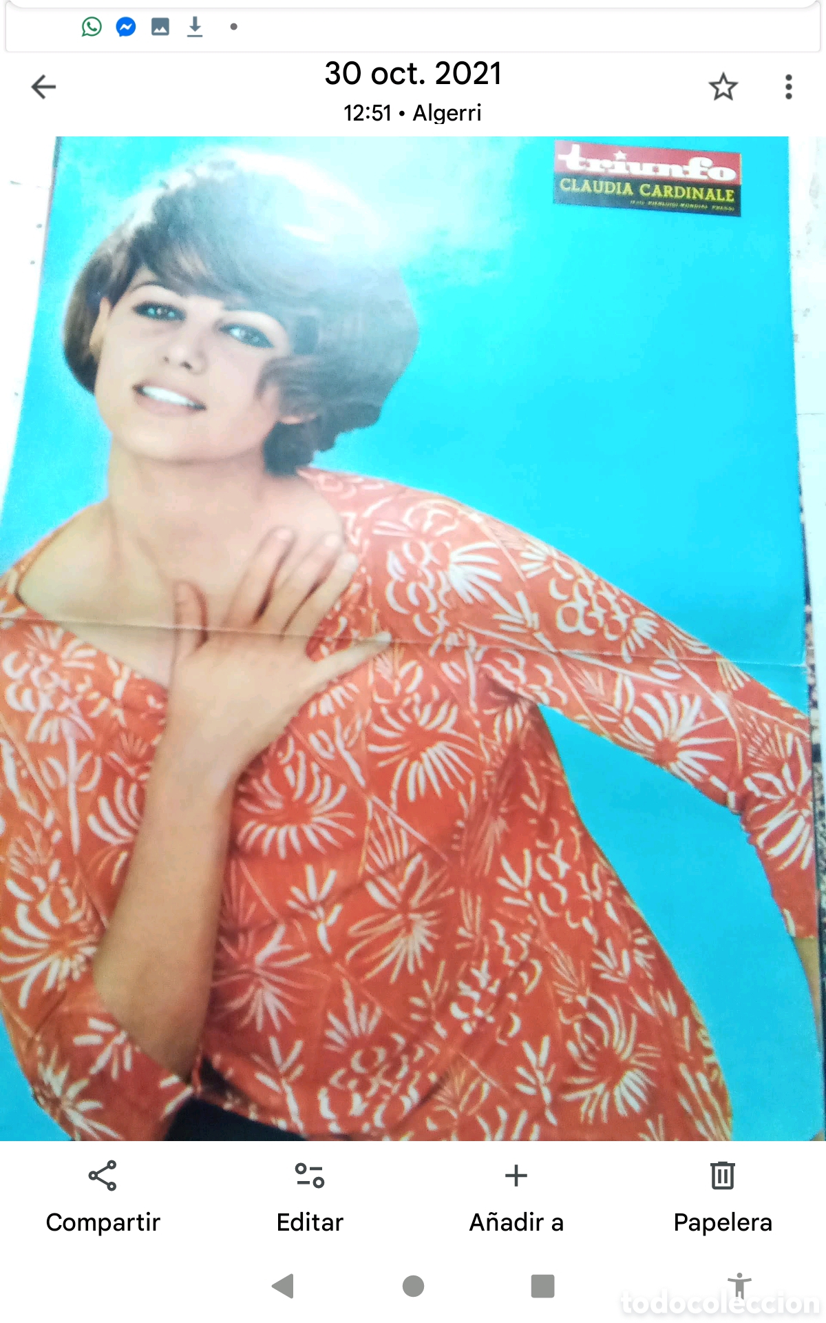 Coleccionismo de Revistas y Peri&oacute;dicos: . CLAUDIA CARDINALE.- P&Oacute;STER REVISTA TRIUNFO . DOBLE P&Aacute;GINA (33X52). A&Ntilde;OS 60