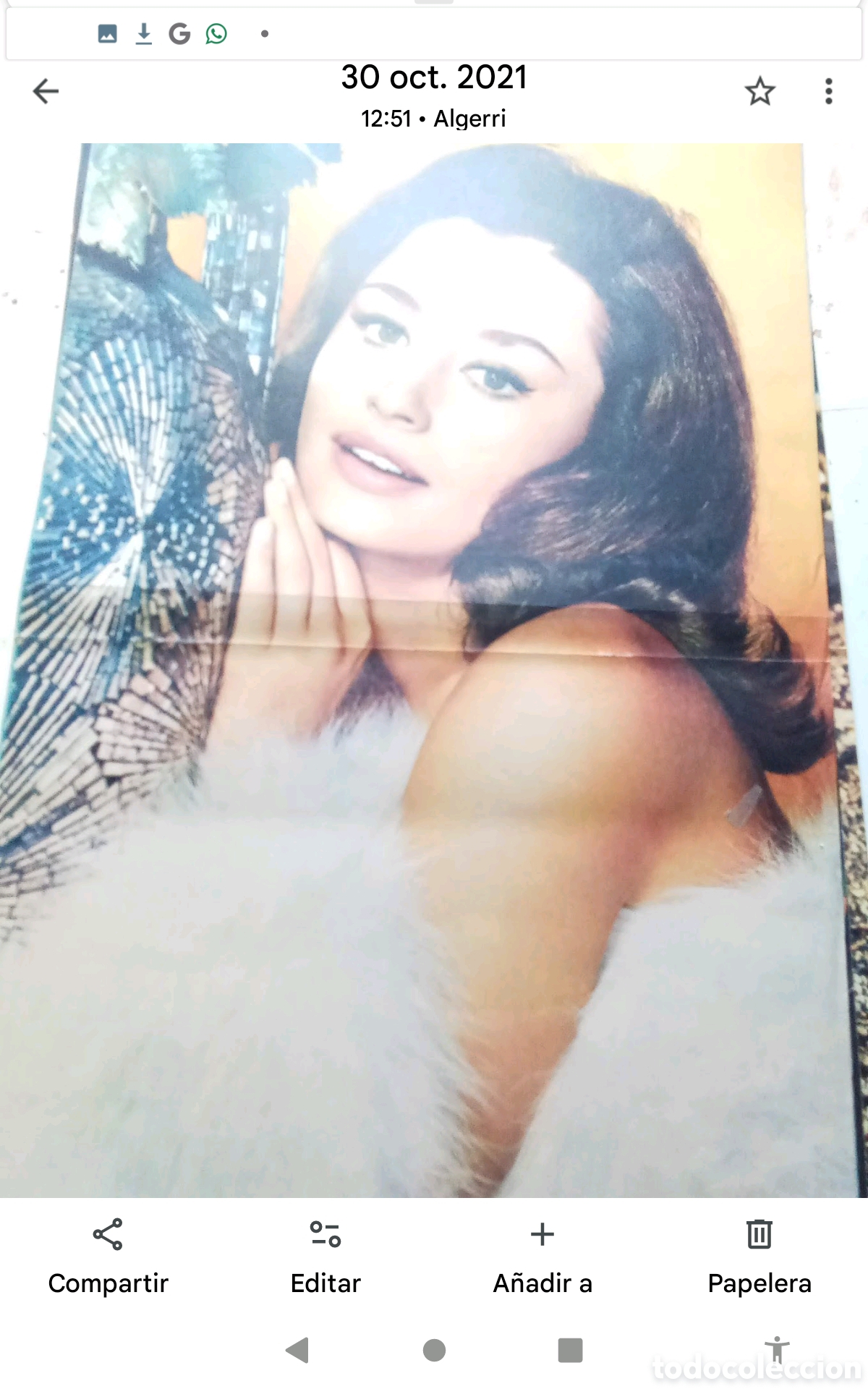 Coleccionismo de Revistas y Peri&oacute;dicos: . RAFFAELLA CARR&Aacute;.- P&Oacute;STER REVISTA TRIUNFO . DOBLE P&Aacute;GINA (33X52). A&Ntilde;OS 60