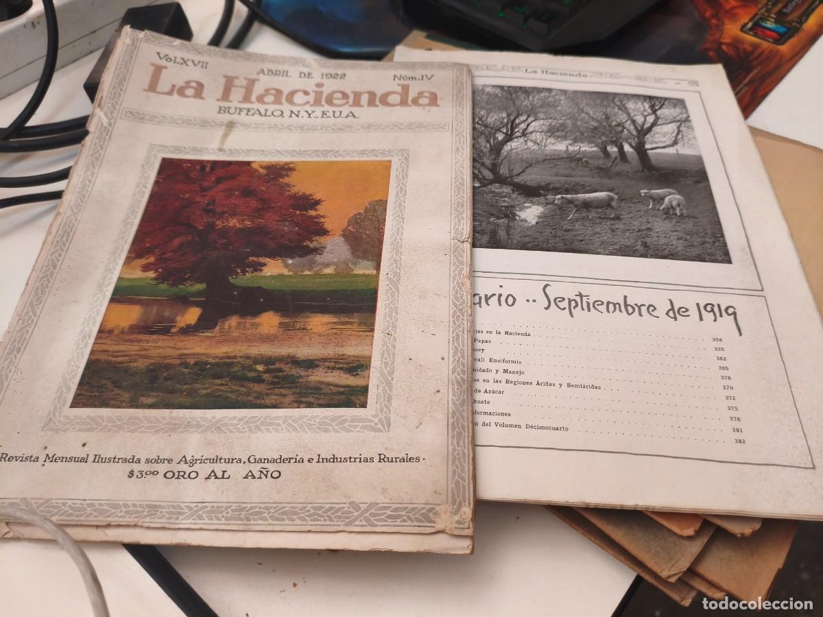 Coleccionismo de Revistas y Peri&oacute;dicos: 2 REVISTAS LA HACIENDA 1919 Y 1922. BUFFALO EUA CRIA OVEJAS MERCADO AZUCAR PATATA CRIA APALACHES