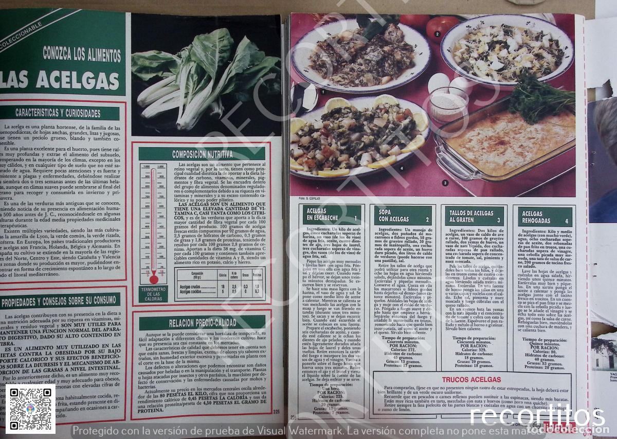 Coleccionismo de Revistas y Peri&oacute;dicos: CONOZCA LOS ALIMENTOS LAS ACELGAS