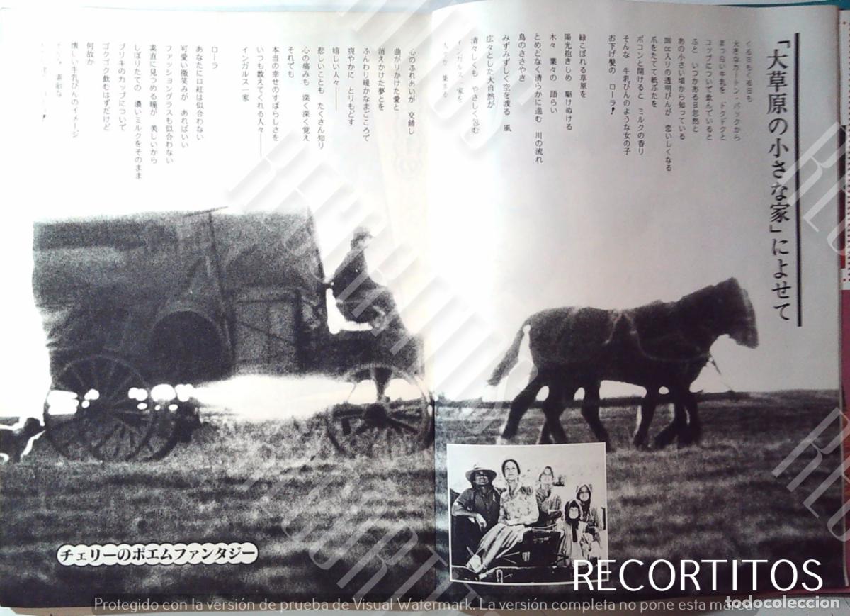 Collection Magazines and Newspapers: MICHAEL LANDON LA CASA DE LA PRADERA KAREN GRASSLE GREENBUSH LINDSAY MELISSA GILBERT SUE ANDERSON