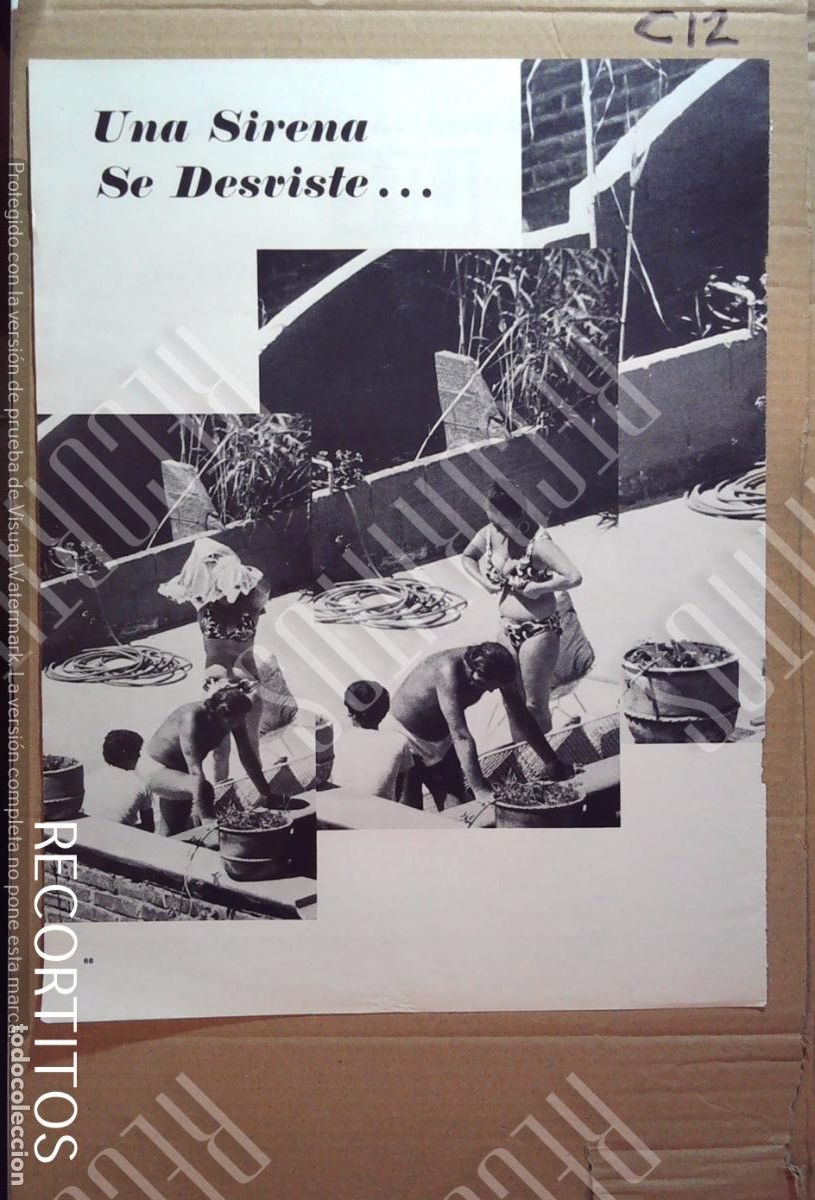 Colecionismo de Revistas e Jornais: elizabeth taylor liz RICHARD BURTON EN LA PISCINA