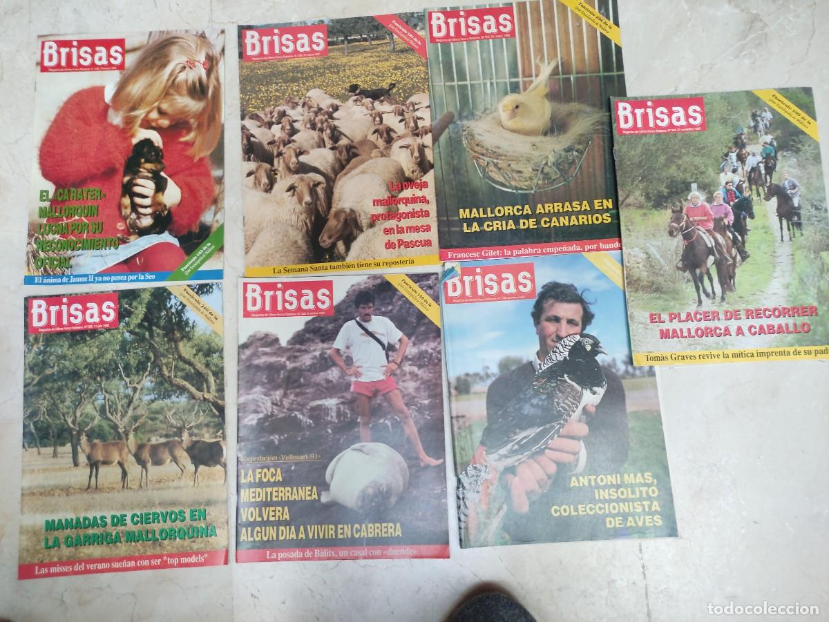 Sammeln von Zeitschriften und Zeitungen: Revistas Brisas de &Uacute;ltima Hora: animales. A&ntilde;os 1990-1994.