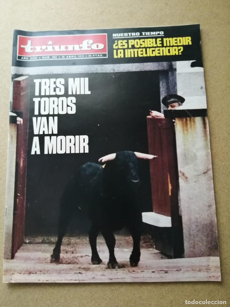 Coleccionismo de Revistas y Peri&oacute;dicos: REVISTA TRIUNFO (NUMERO 603) TRES MIL TOROS VAN A MORIR