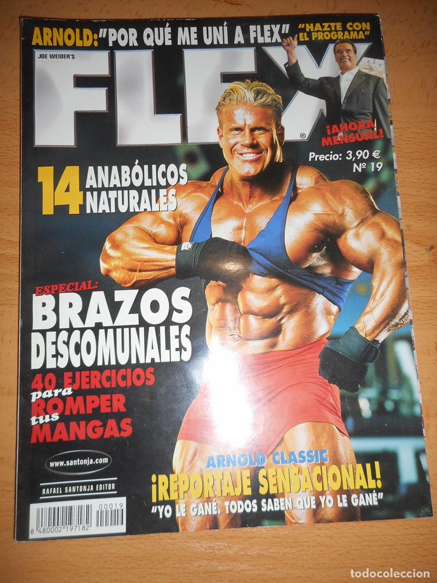 Coleccionismo de Revistas y Peri&oacute;dicos: FLEX N&ordm;19 (AGOSTO 2004)