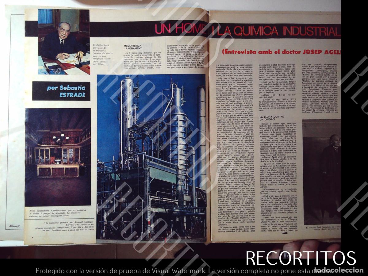 Collectionnisme de Revues et Journaux: JOSEP AGELL I AGELL QUIMICA INDUSTRIAL