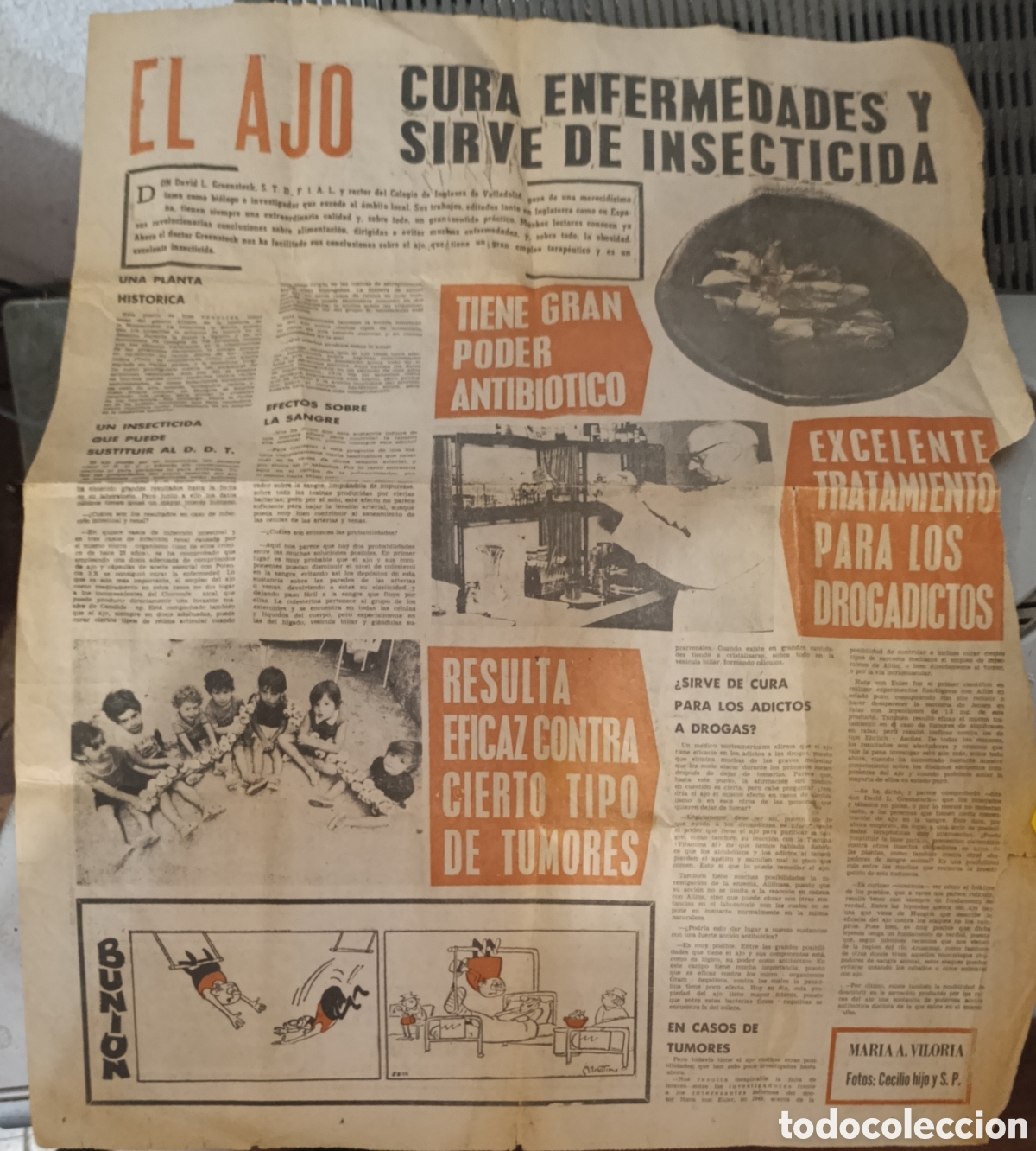 Coleccionismo de Revistas y Peri&oacute;dicos: Antiguo recorte / p&aacute;gina de peri&oacute;dico La gazeta del Norte 13 de agosto de 1972