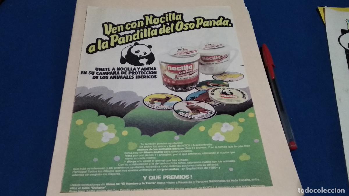 Coleccionismo de Revistas y Peri&oacute;dicos: Anuncio - Publicidad de Revista HOJA - NOCILLA / OSO PANDA - 1980