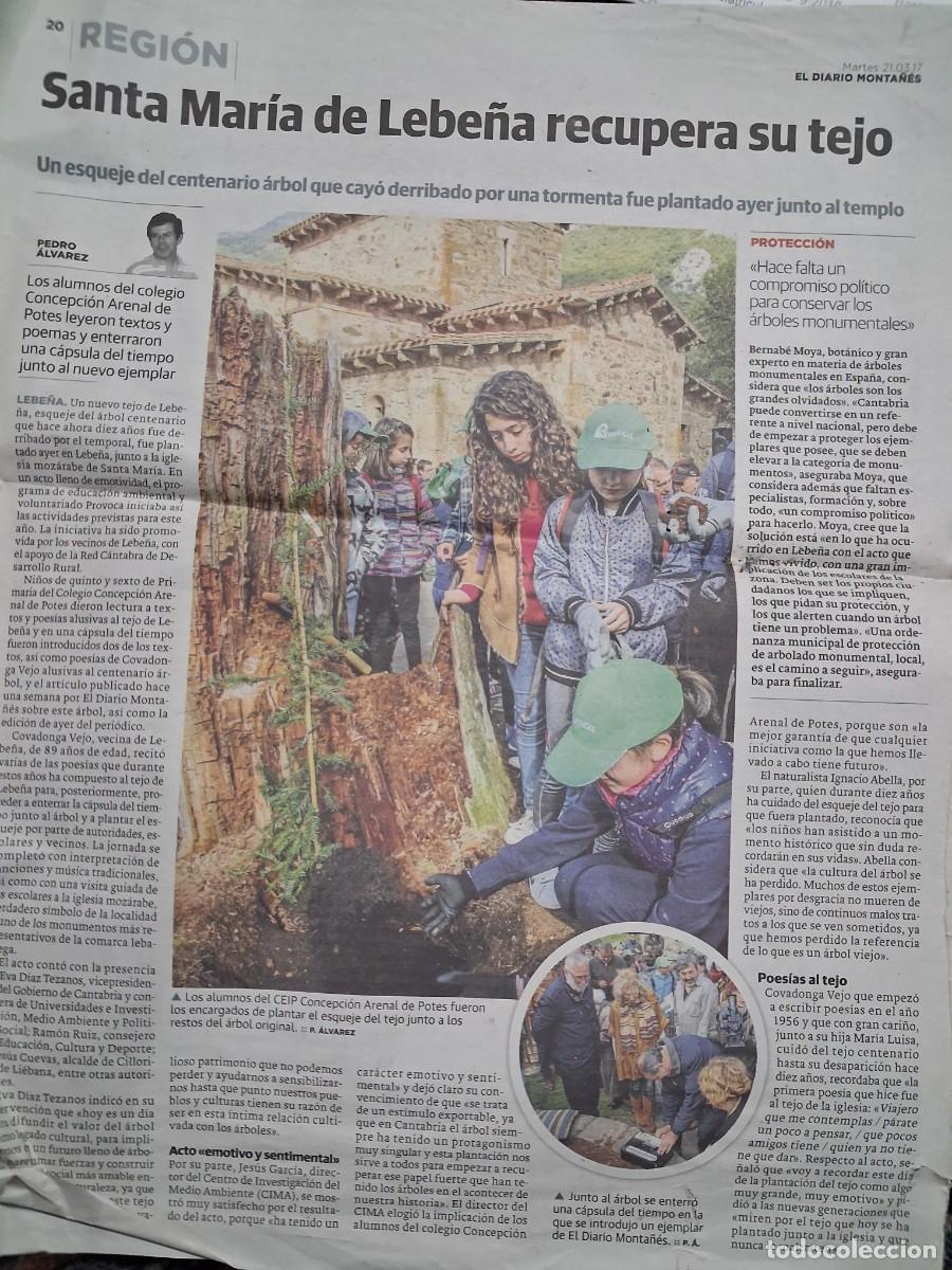 Collezionismo di Riviste e Giornali: Santa Mar&iacute;a De Lebe&ntilde;a recupera su tejo- esqueje centenario - recorte El Diario Monta&ntilde;&eacute;s 21-03-2017