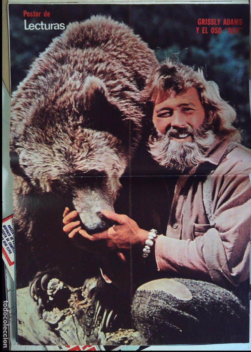Collectionnisme de Revues et Journaux: poster lecturas oso grizzly adams ben