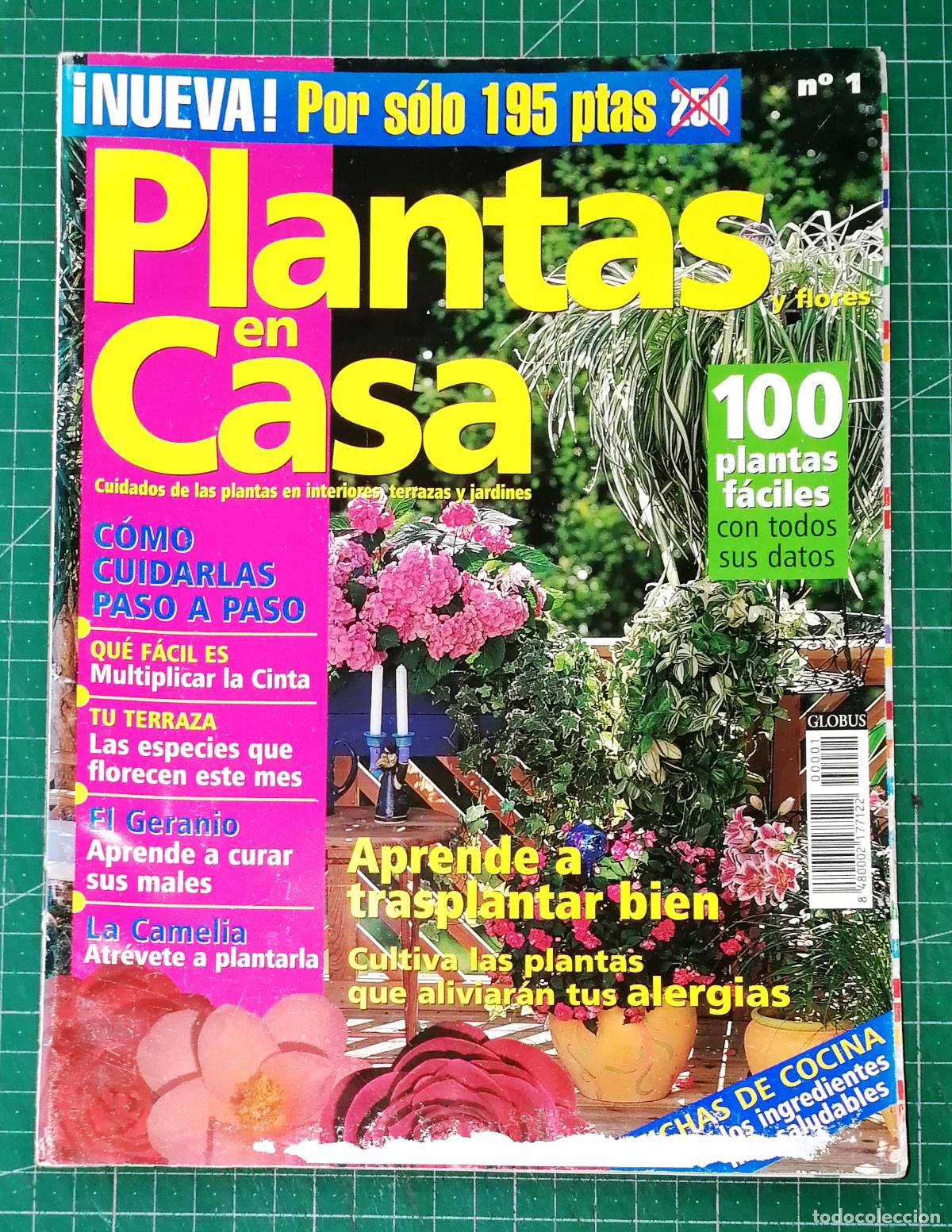 Coleccionismo de Revistas y Peri&oacute;dicos: PLANTAS EN CASA. N&ordm; 1. - Globus Comunicaci&oacute;n, imp. 2000