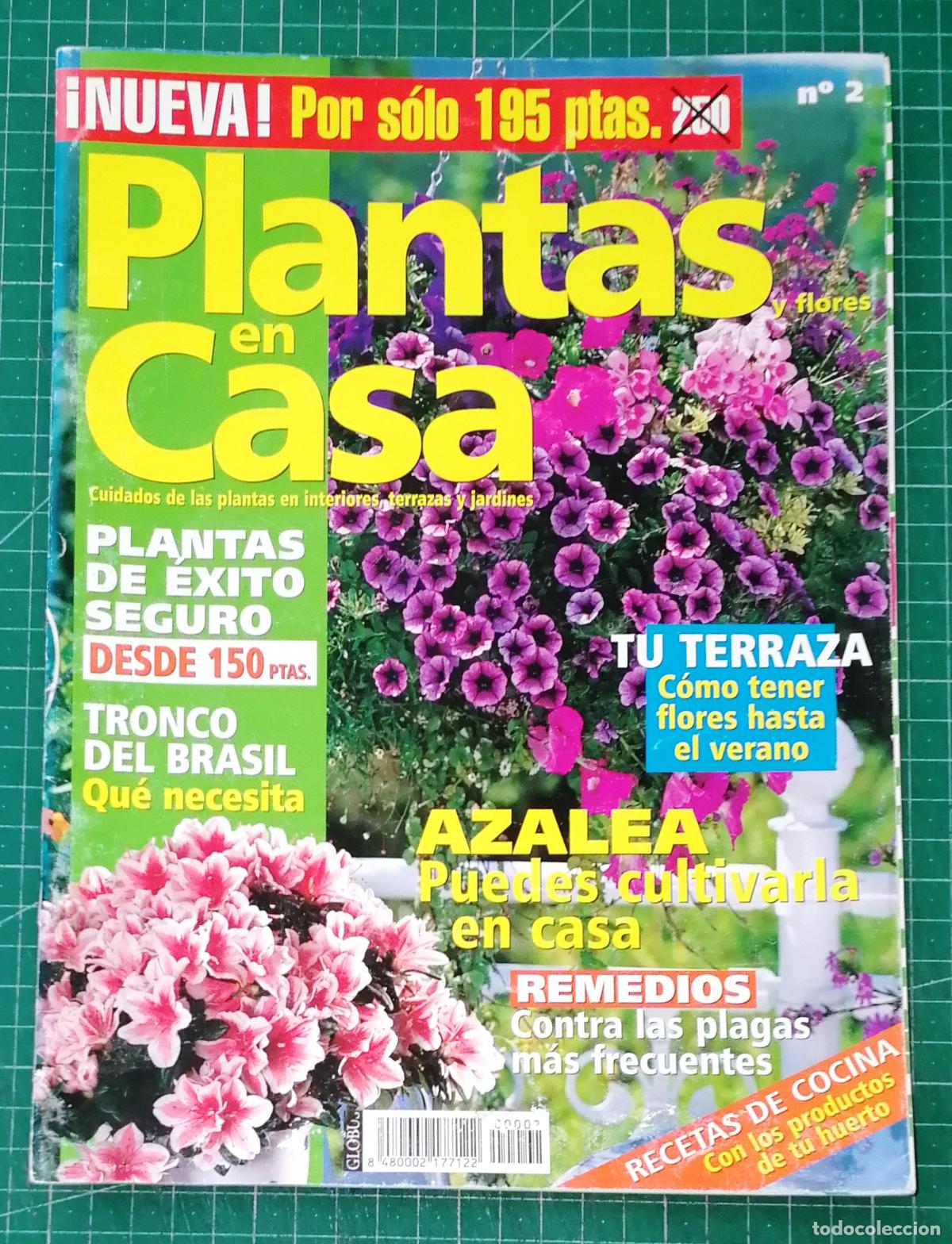 Coleccionismo de Revistas y Peri&oacute;dicos: PLANTAS EN CASA. N&ordm; 2. - Globus Comunicaci&oacute;n, imp. 2000