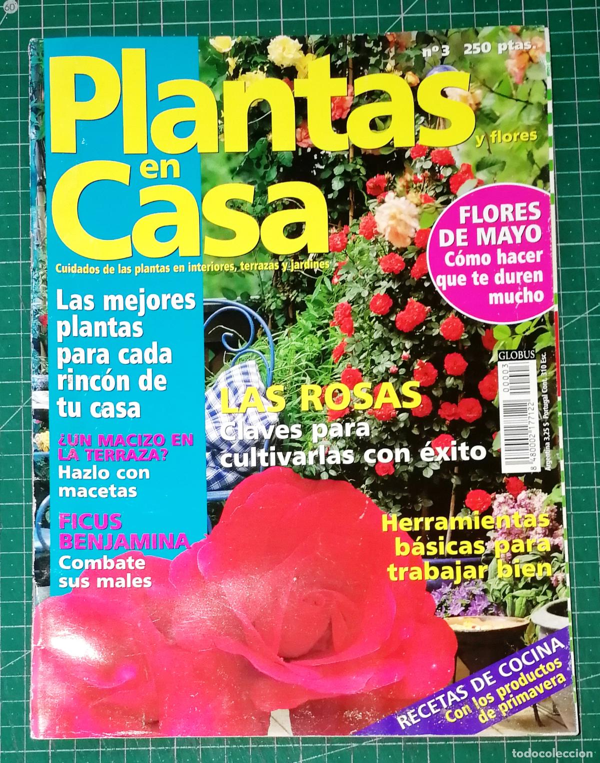 Coleccionismo de Revistas y Peri&oacute;dicos: PLANTAS EN CASA. N&ordm; 3. - Globus Comunicaci&oacute;n, imp. 2000