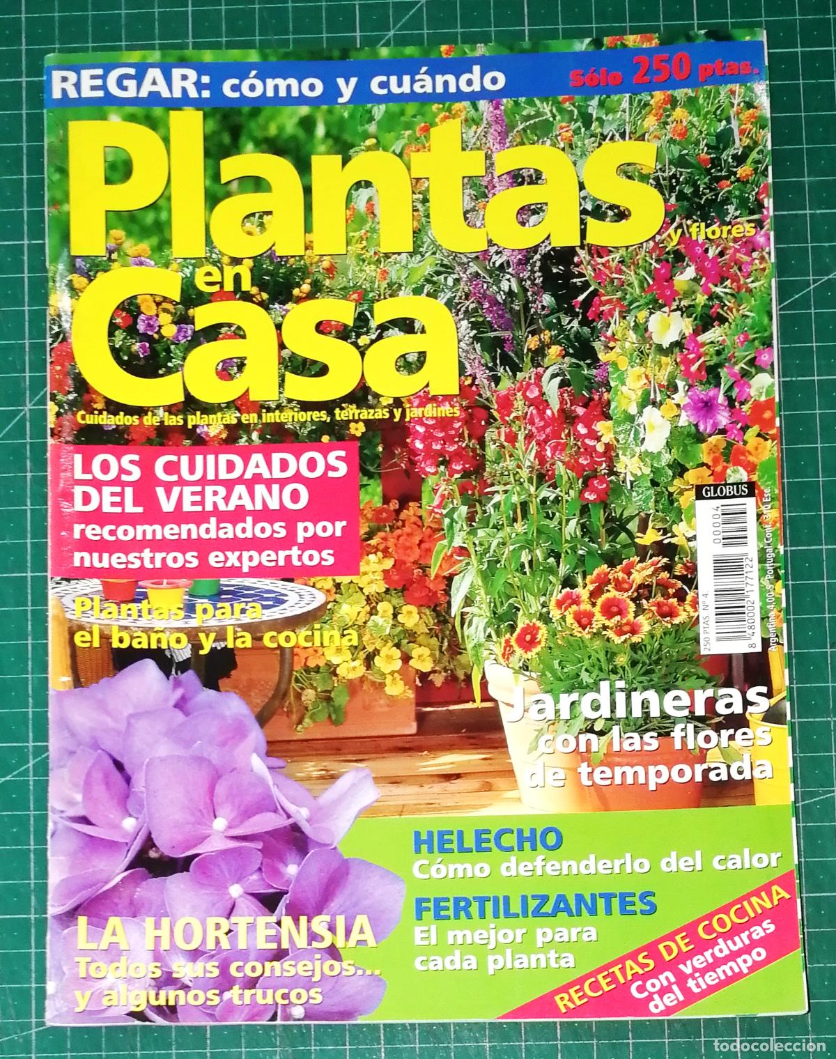 Coleccionismo de Revistas y Peri&oacute;dicos: PLANTAS EN CASA. N&ordm; 4. - Globus Comunicaci&oacute;n, imp. 2000