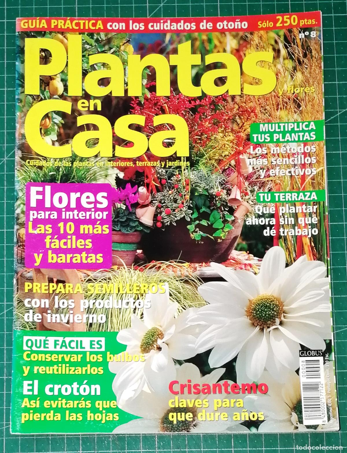 Coleccionismo de Revistas y Peri&oacute;dicos: PLANTAS EN CASA. N&ordm; 8. - Globus Comunicaci&oacute;n, imp. 2001