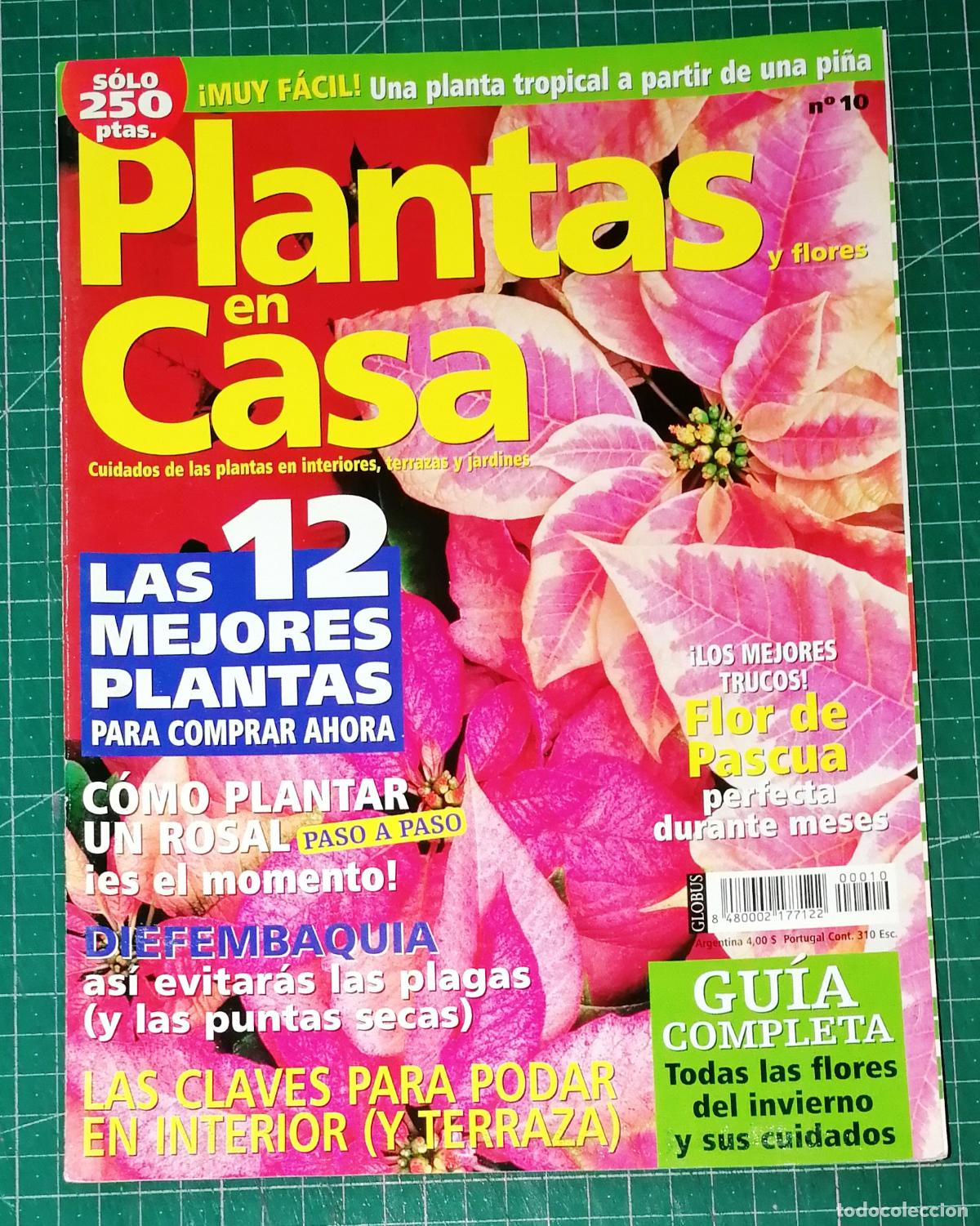 Coleccionismo de Revistas y Peri&oacute;dicos: PLANTAS EN CASA. N&ordm; 10. - Globus Comunicaci&oacute;n, imp. 2001