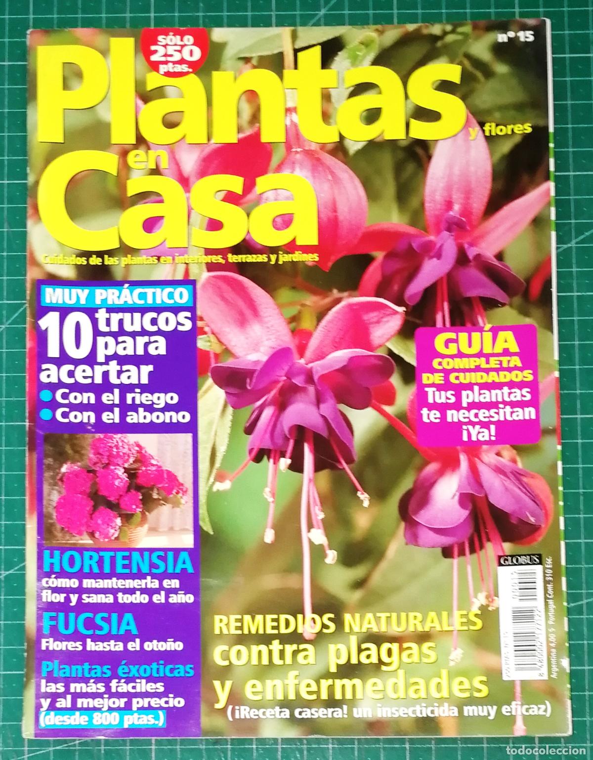 Coleccionismo de Revistas y Peri&oacute;dicos: PLANTAS EN CASA. N&ordm; 15. - Globus Comunicaci&oacute;n, imp. 2001