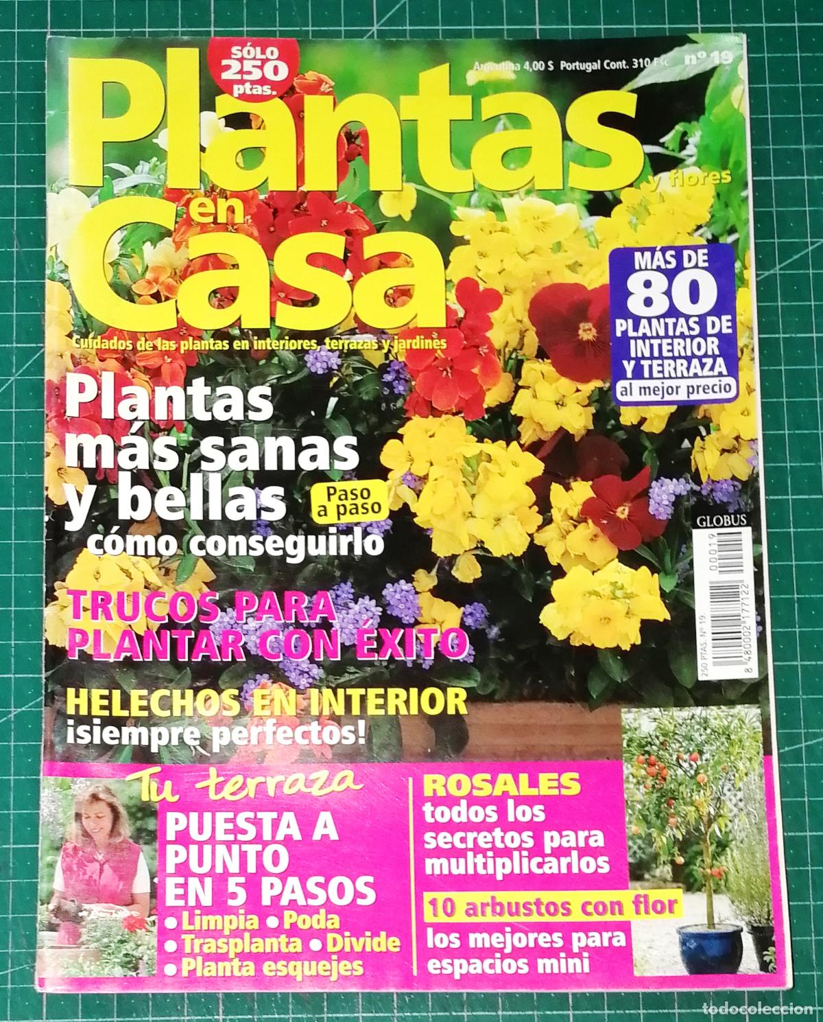 Coleccionismo de Revistas y Peri&oacute;dicos: PLANTAS EN CASA. N&ordm; 19. - Globus Comunicaci&oacute;n, imp. 2002