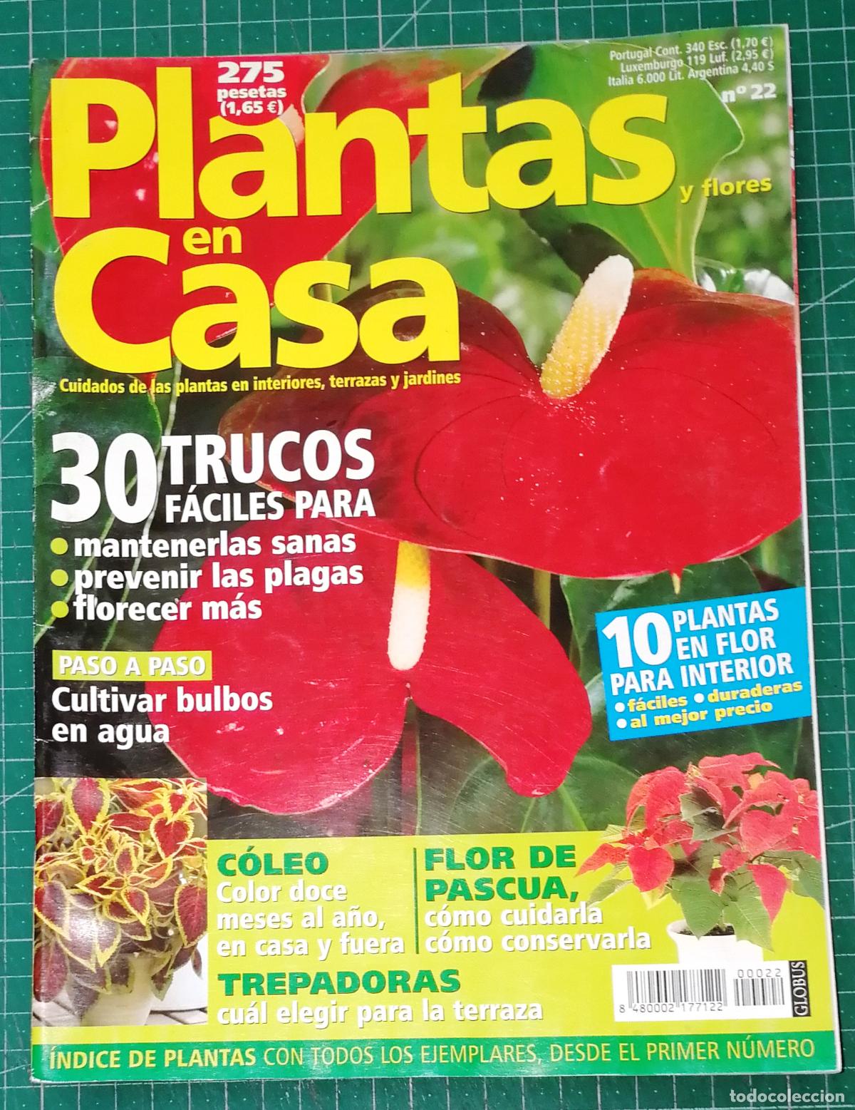 Coleccionismo de Revistas y Peri&oacute;dicos: PLANTAS EN CASA. N&ordm; 22. - Globus Comunicaci&oacute;n, imp. 2002