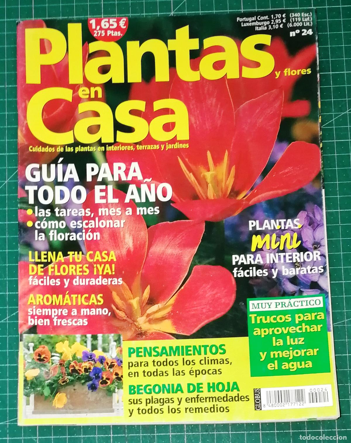 Coleccionismo de Revistas y Peri&oacute;dicos: PLANTAS EN CASA. N&ordm; 24. - Globus Comunicaci&oacute;n, imp. 2002