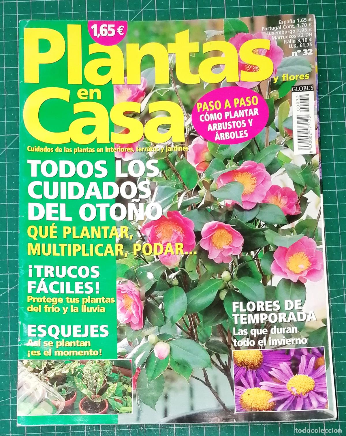 Coleccionismo de Revistas y Peri&oacute;dicos: PLANTAS EN CASA. N&ordm; 32. - Globus Comunicaci&oacute;n, imp. 2003