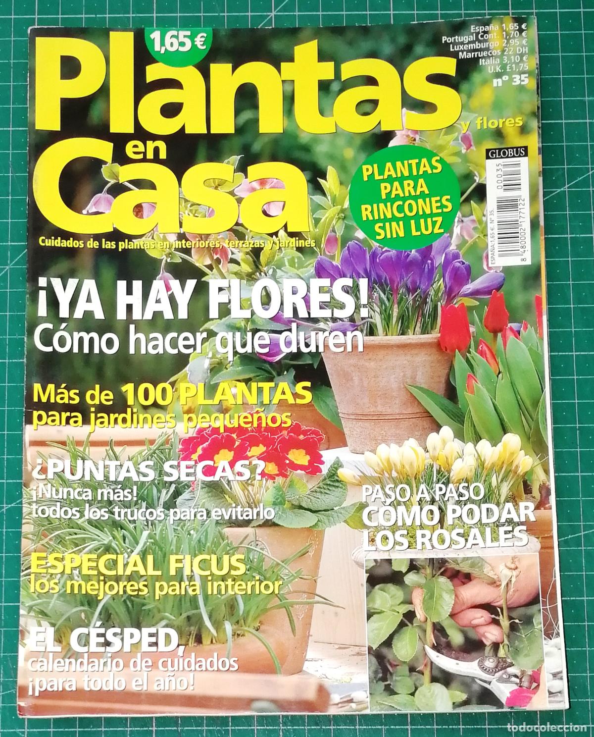 Coleccionismo de Revistas y Peri&oacute;dicos: PLANTAS EN CASA. N&ordm; 35. - Globus Comunicaci&oacute;n, imp. 2003