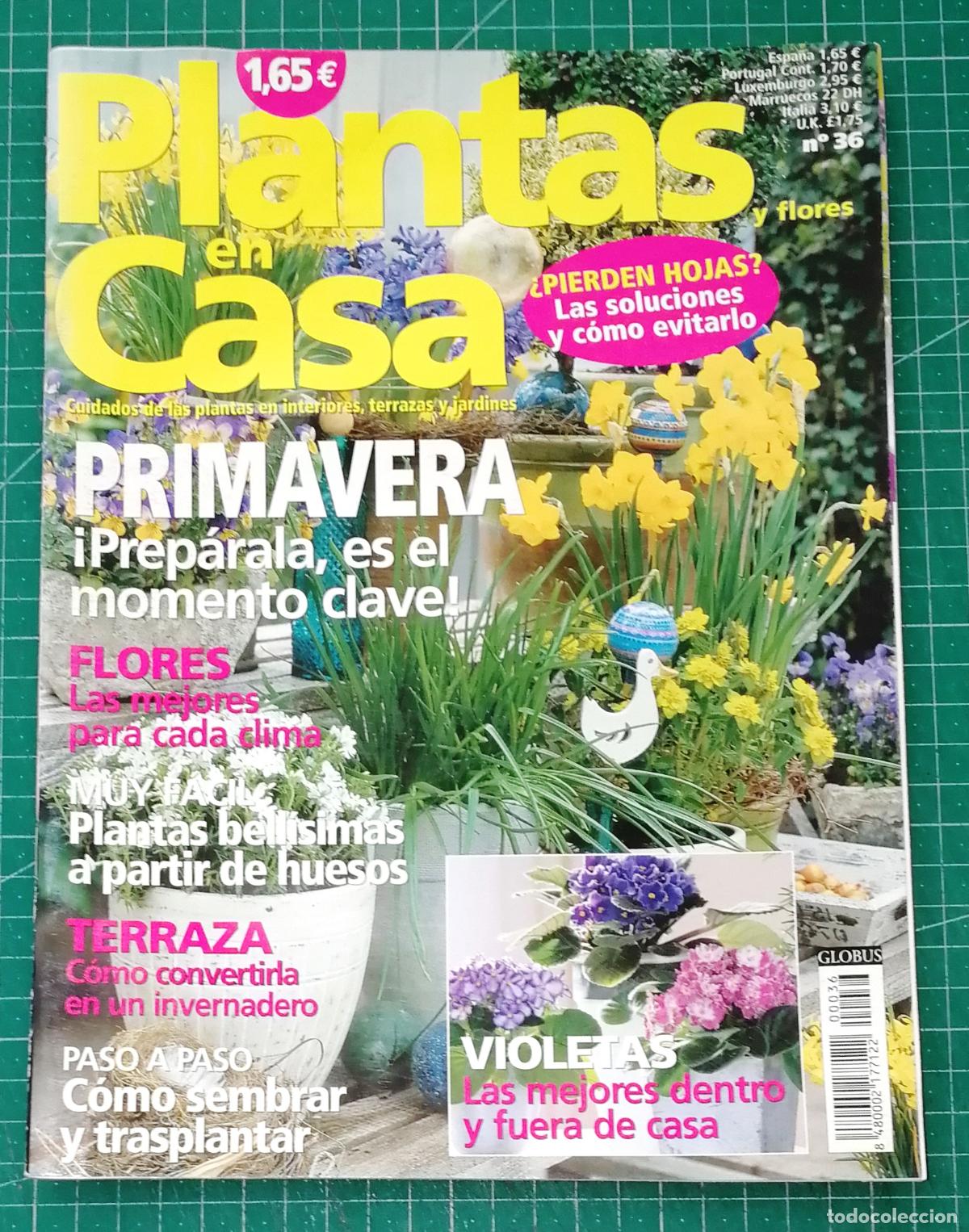 Coleccionismo de Revistas y Peri&oacute;dicos: PLANTAS EN CASA. N&ordm; 36. - Globus Comunicaci&oacute;n, imp. 2003