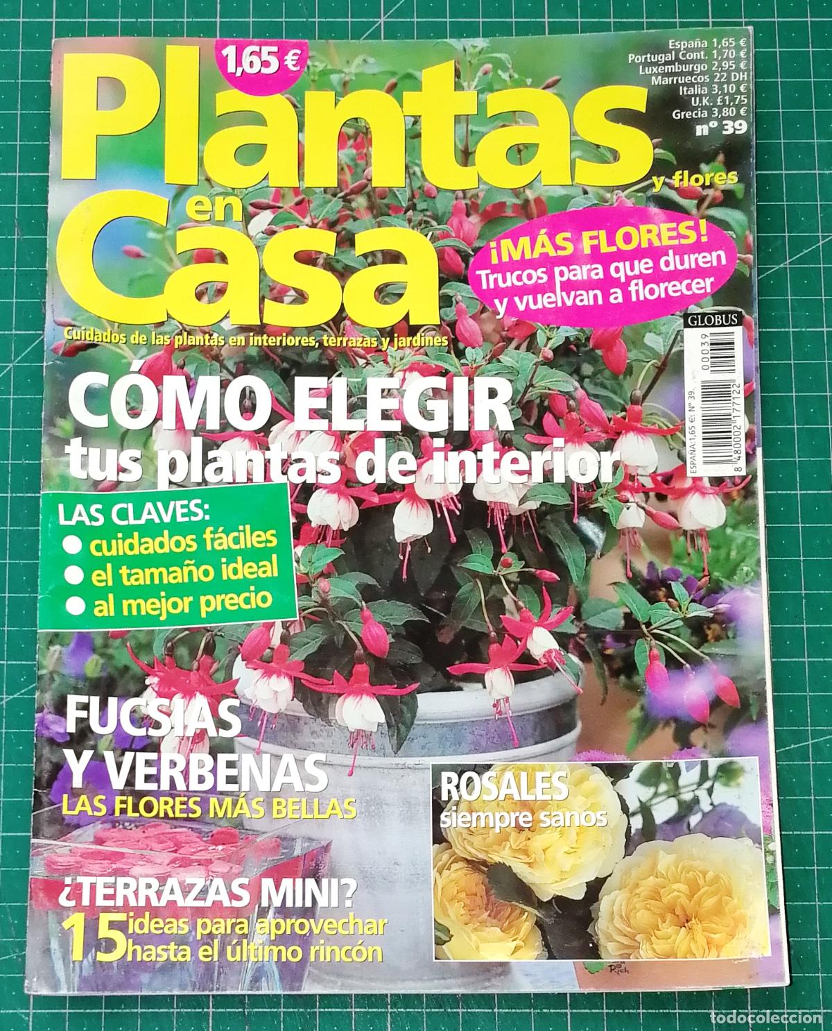 Coleccionismo de Revistas y Peri&oacute;dicos: PLANTAS EN CASA. N&ordm; 39. - Globus Comunicaci&oacute;n, imp. 2003