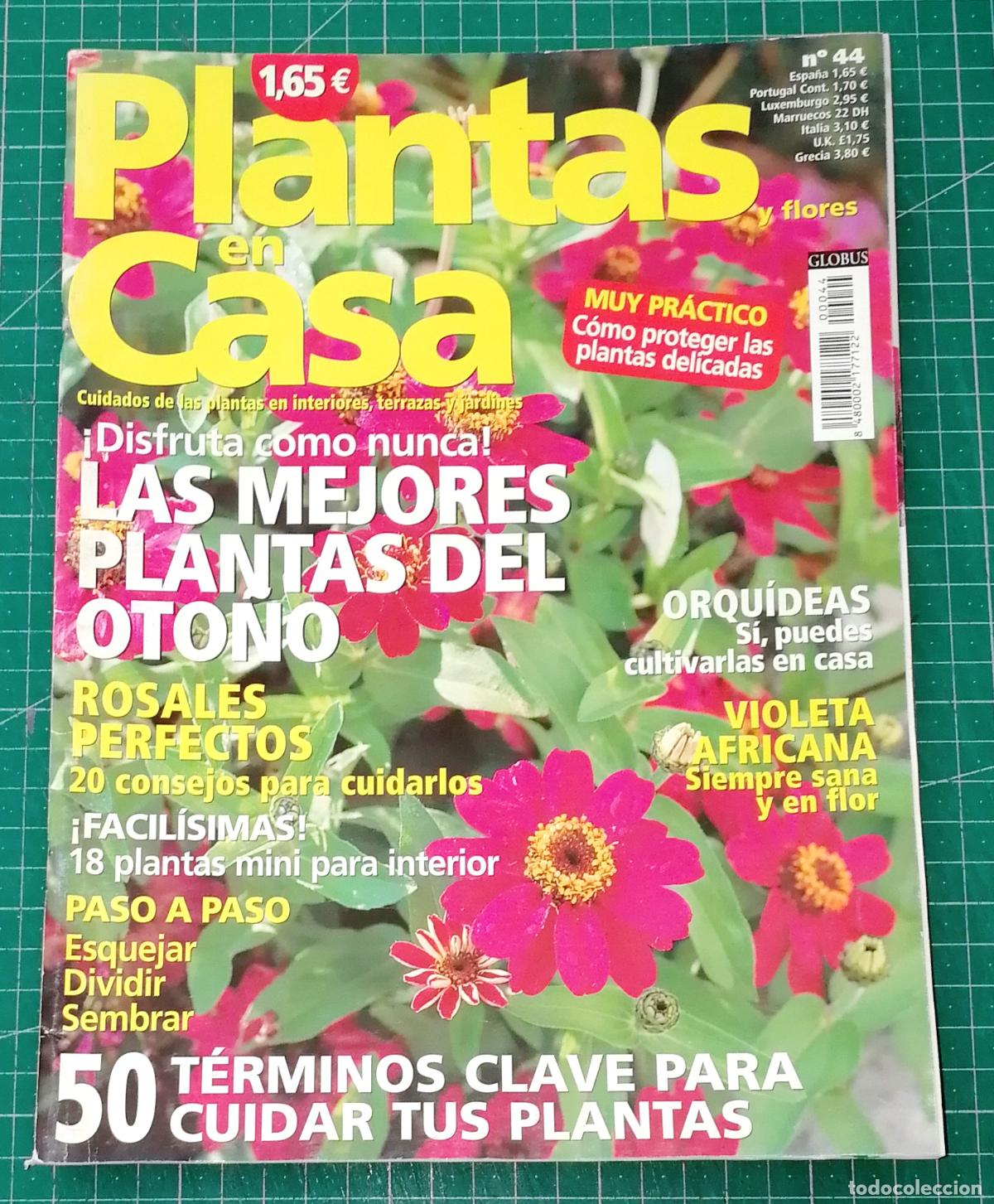 Coleccionismo de Revistas y Peri&oacute;dicos: PLANTAS EN CASA. N&ordm; 44. - Globus Comunicaci&oacute;n, imp. 2004