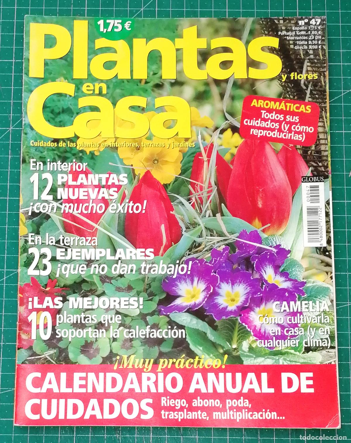 Coleccionismo de Revistas y Peri&oacute;dicos: PLANTAS EN CASA. N&ordm; 47. - Globus Comunicaci&oacute;n, imp. 2004