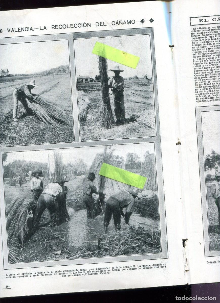 Collection Magazines and Newspapers: REVISTA A&Ntilde;O 1915 VALDEJUNQUERA RECOLECCION DEL CA&Ntilde;AMO EN VALENCIA REYES EN COVADONGA TUDELA GOLBOS C