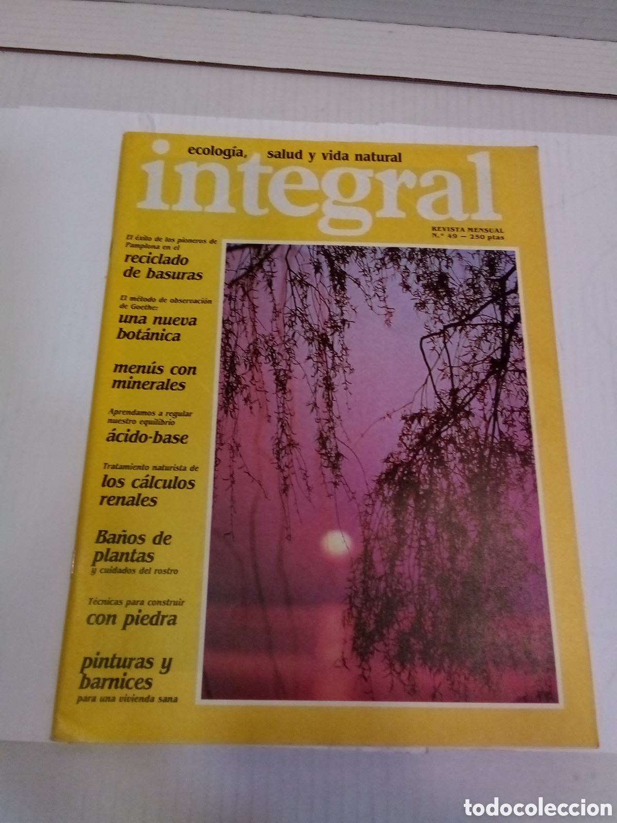 Sammeln von Zeitschriften und Zeitungen: Integral. Ecologia, salud y vida natural. Revista Mensual N&ordm;49