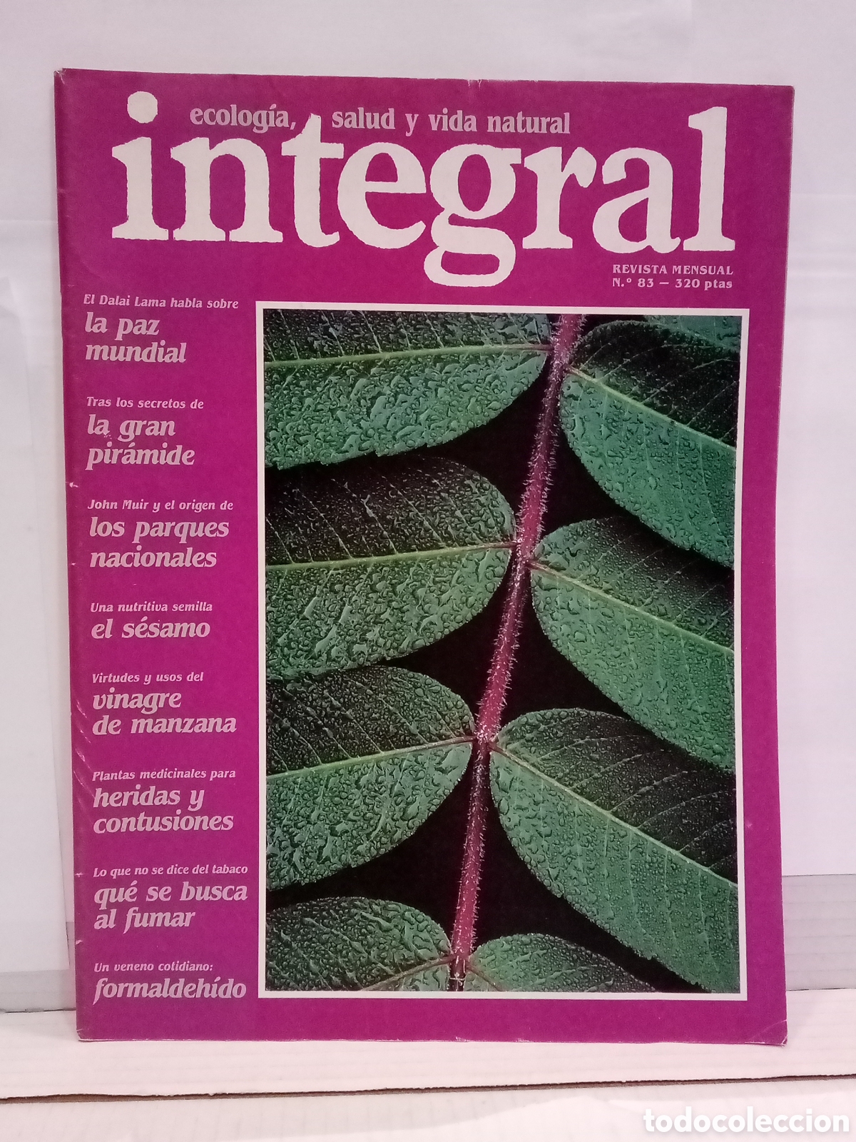 Collezionismo di Riviste e Giornali: Integral. Ecologia, salud y vida natural. Revista Mensual N&ordm;83