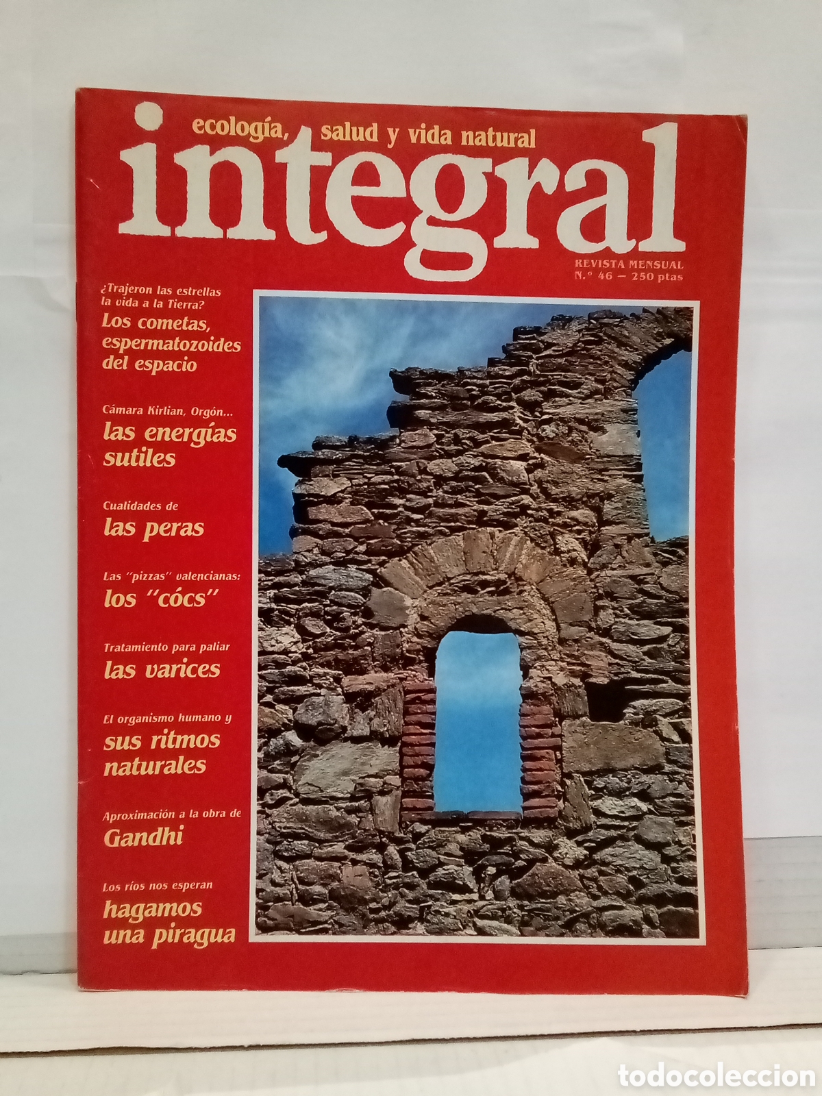 Collezionismo di Riviste e Giornali: Integral. Ecologia, salud y vida natural. Revista Mensual N&ordm;46