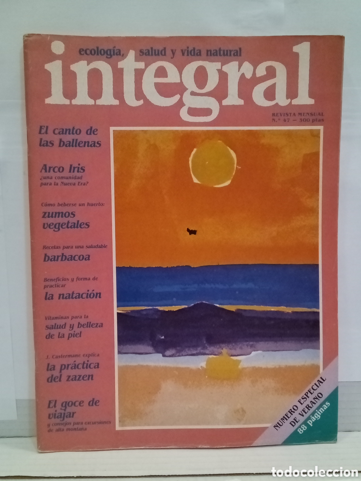 Collezionismo di Riviste e Giornali: Integral. Ecologia, salud y vida natural. Revista Mensual N&ordm;47