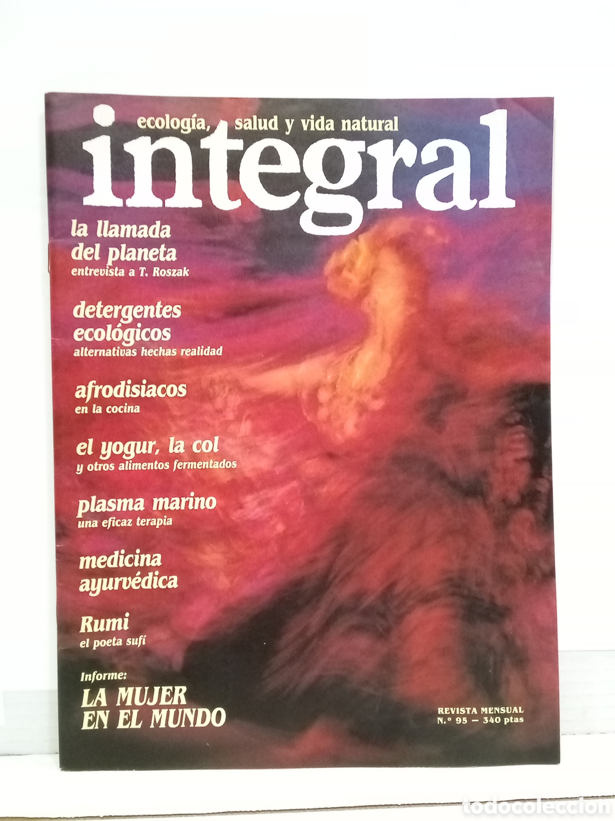 Collezionismo di Riviste e Giornali: Integral. Ecologia, salud y vida natural. Revista Mensual N&ordm;95