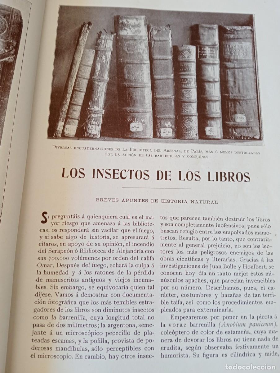 Coleccionismo de Revistas y Peri&oacute;dicos: REVISTA A&Ntilde;O 1913 INSECTOS DE LOS LIBROS ESCUELA MILITAR DE WEST-PONT NOUEL REPUBLICA DOMINICANA