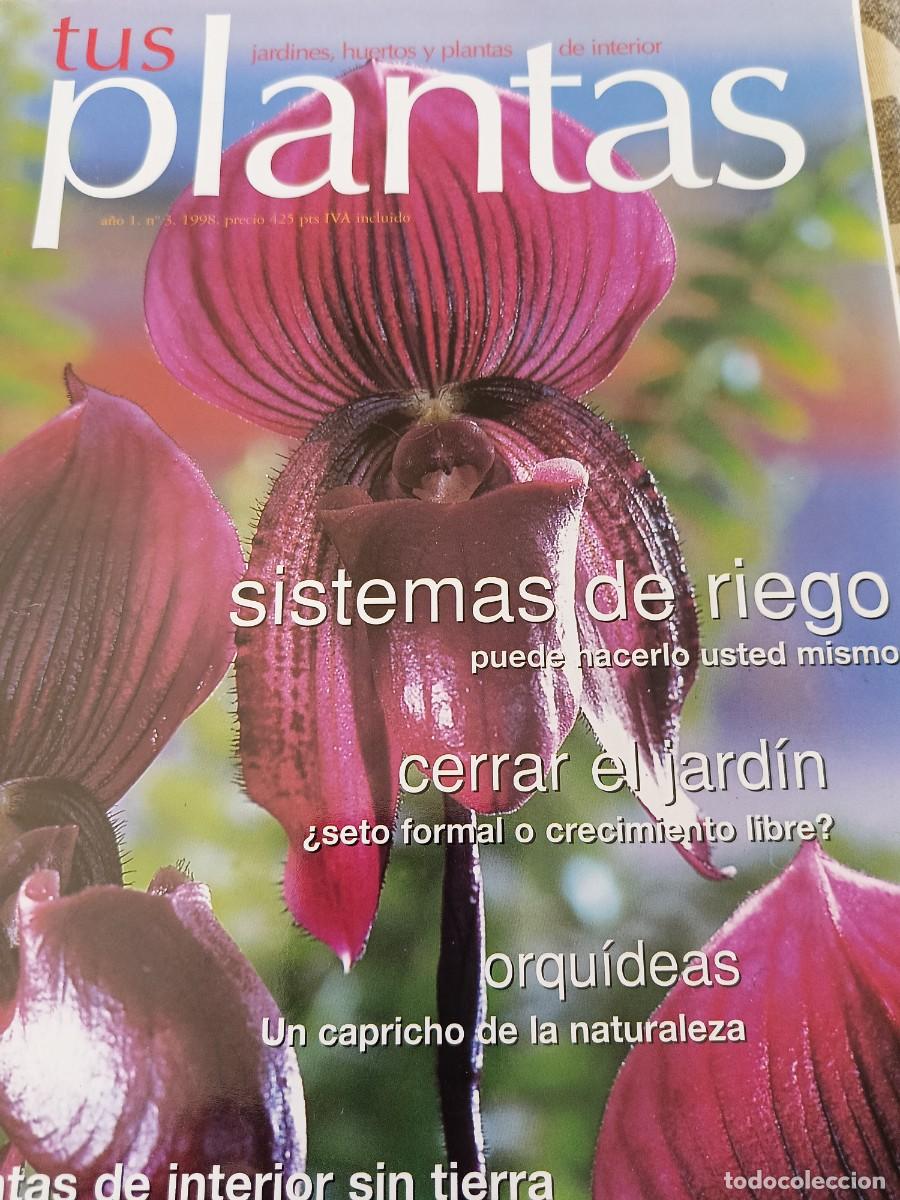 Coleccionismo de Revistas y Peri&oacute;dicos: Revista TUS Plantas. 1998